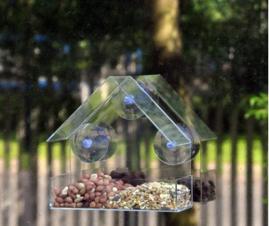 Window Bird Feeder