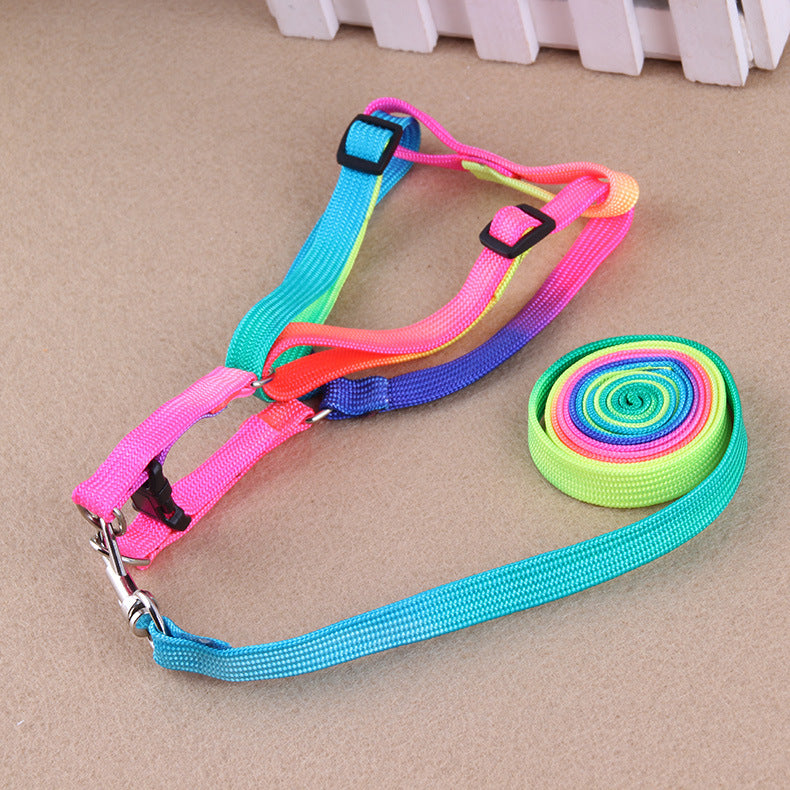 Colorful Leashes