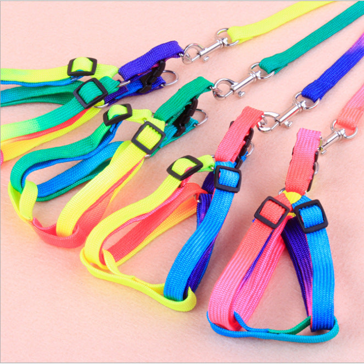 Colorful Leashes