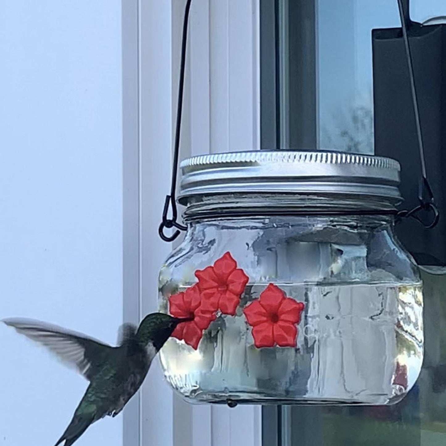 Hummingbird Feeder