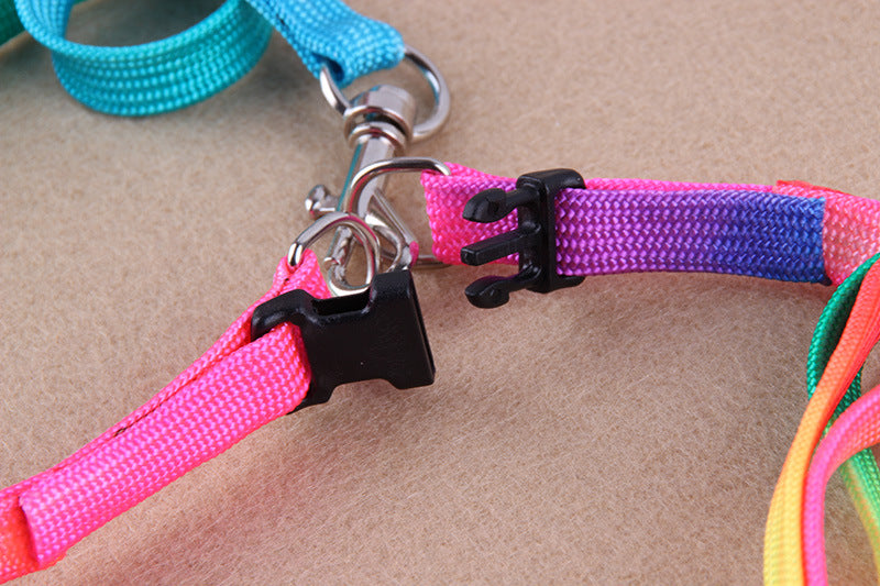 Colorful Leashes