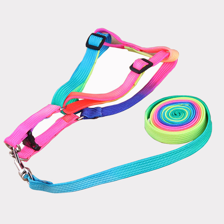 Colorful Leashes