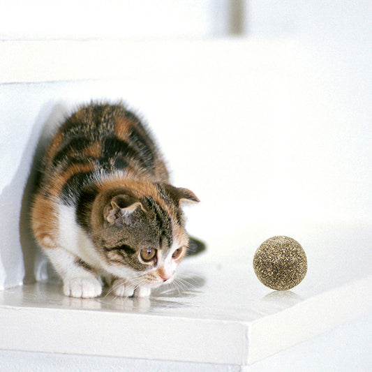 Cat Teeth Cleansing Snacks