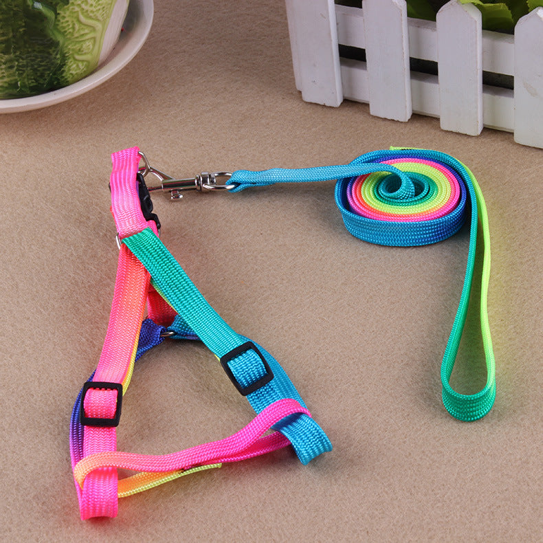 Colorful Leashes