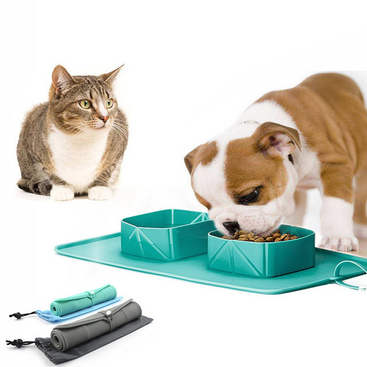 Folding Pet Bowl