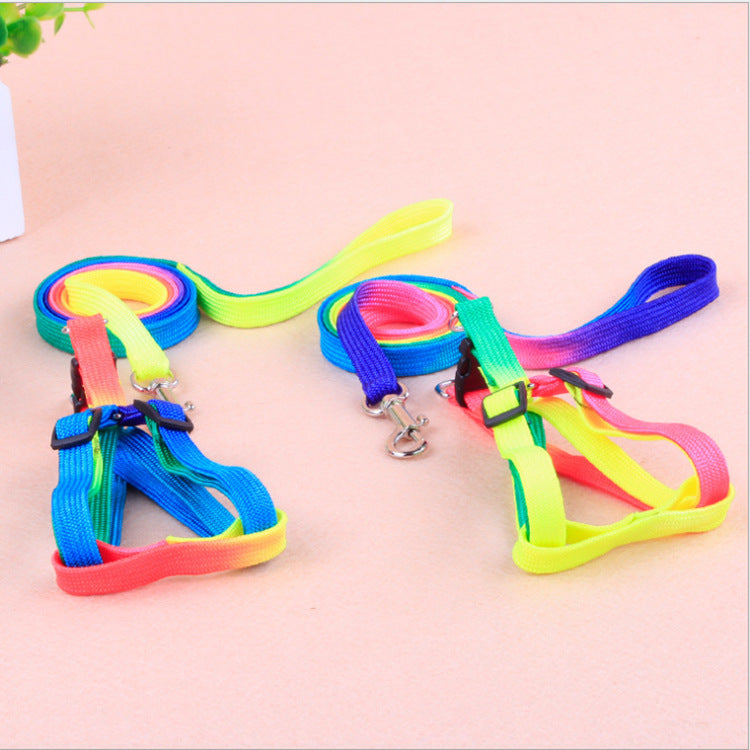 Colorful Leashes