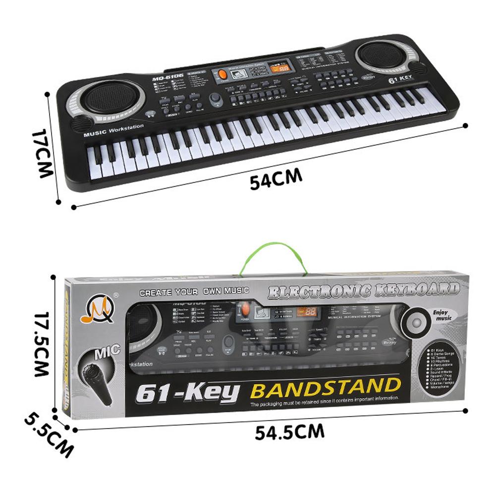 electronic organ with microphone